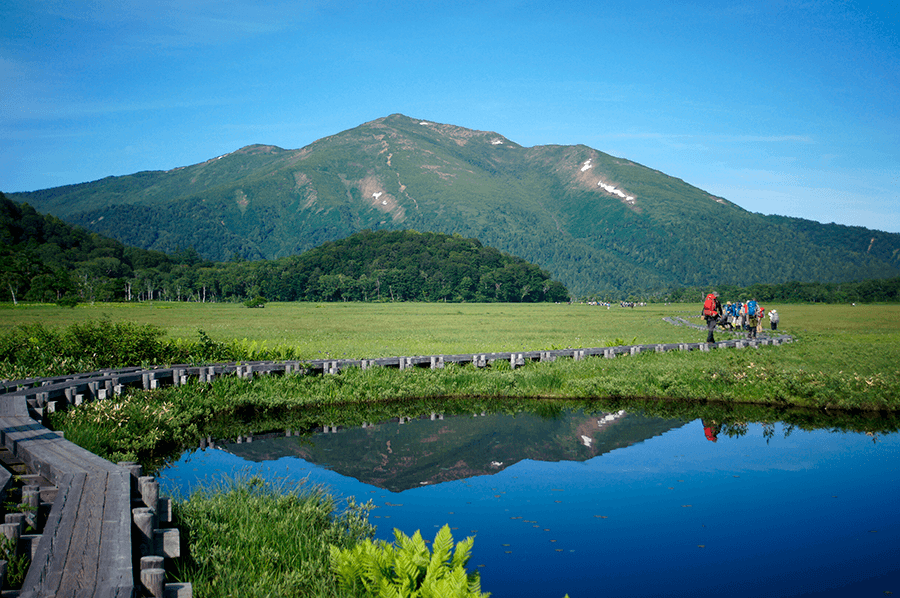 尾瀬の景色